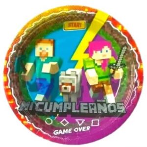 Platos Minecraft x6